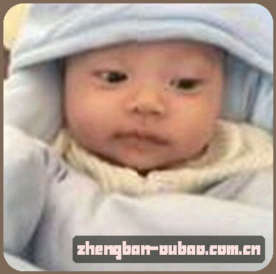 张宇